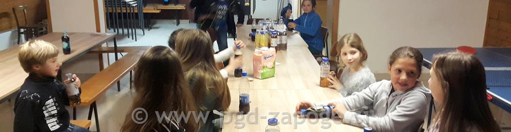 Zbor mladih PGD Zapoge